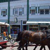 Picture of horse pulling carriage in Mackinac Island in front of a fudge shop.